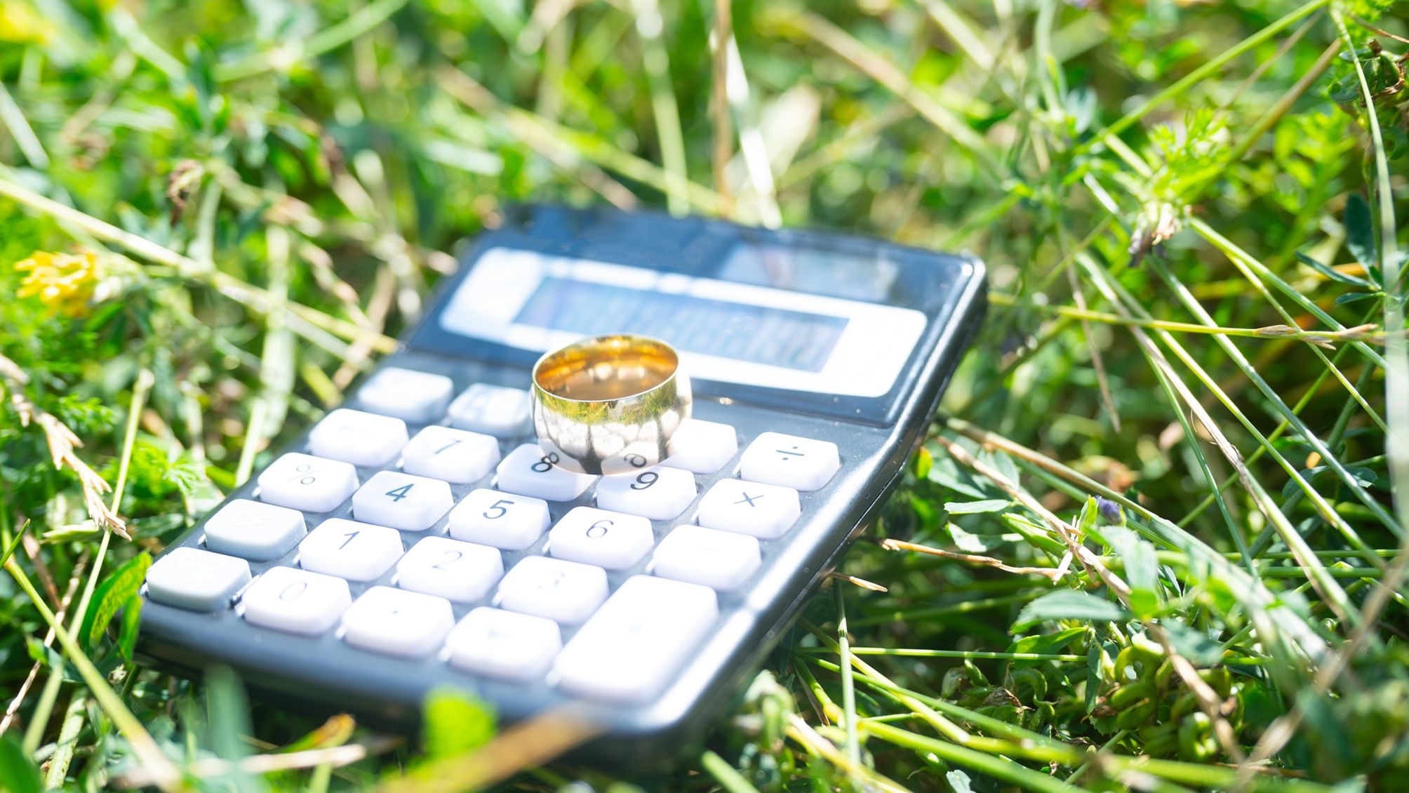 How to Avoid the Financial Mistakes Described in ‘Strangers’ How to Avoid the Financial Mistakes Described in ‘Strangers’