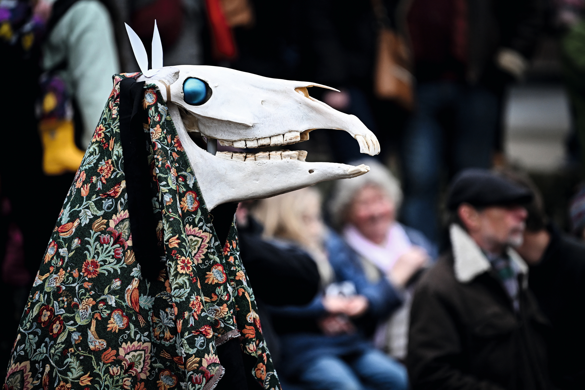 A person dresses as The Mari Lwyd takes part in the annual Welsh Mari Lwyd traditional wassail, on January 18, 2025, in the centre of Chepstow on the Welsh/English border. "Wassail!" yelled the crowd. "Cider for everyone!"