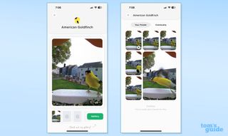 Bird Buddy app screenshot