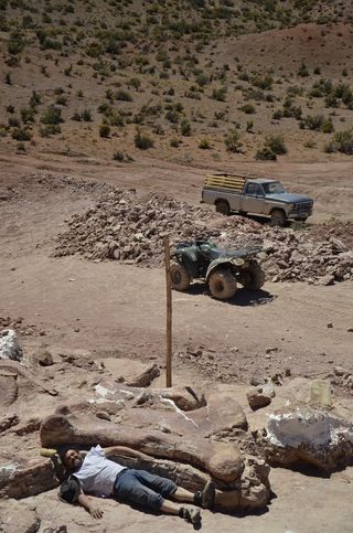 A dinosaur uncovered in the desert outside La Flecha in southern Argentina now has a cast on display at the American Museum of Natural History in New York City.