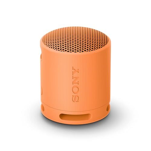 SRS-XB100 Bluetooth Speaker