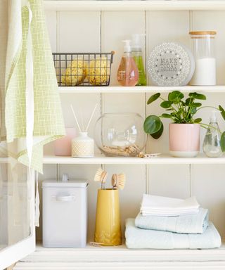 cleaning products, towels, pegs and household items on shelving with a money plant