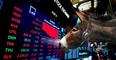 Donkey looks at stock exchange.