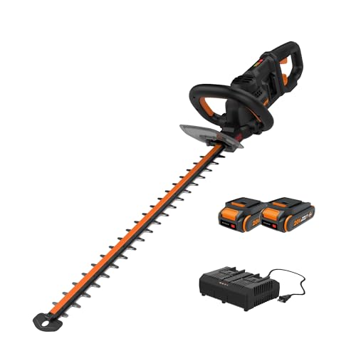 Worx Nitro 24