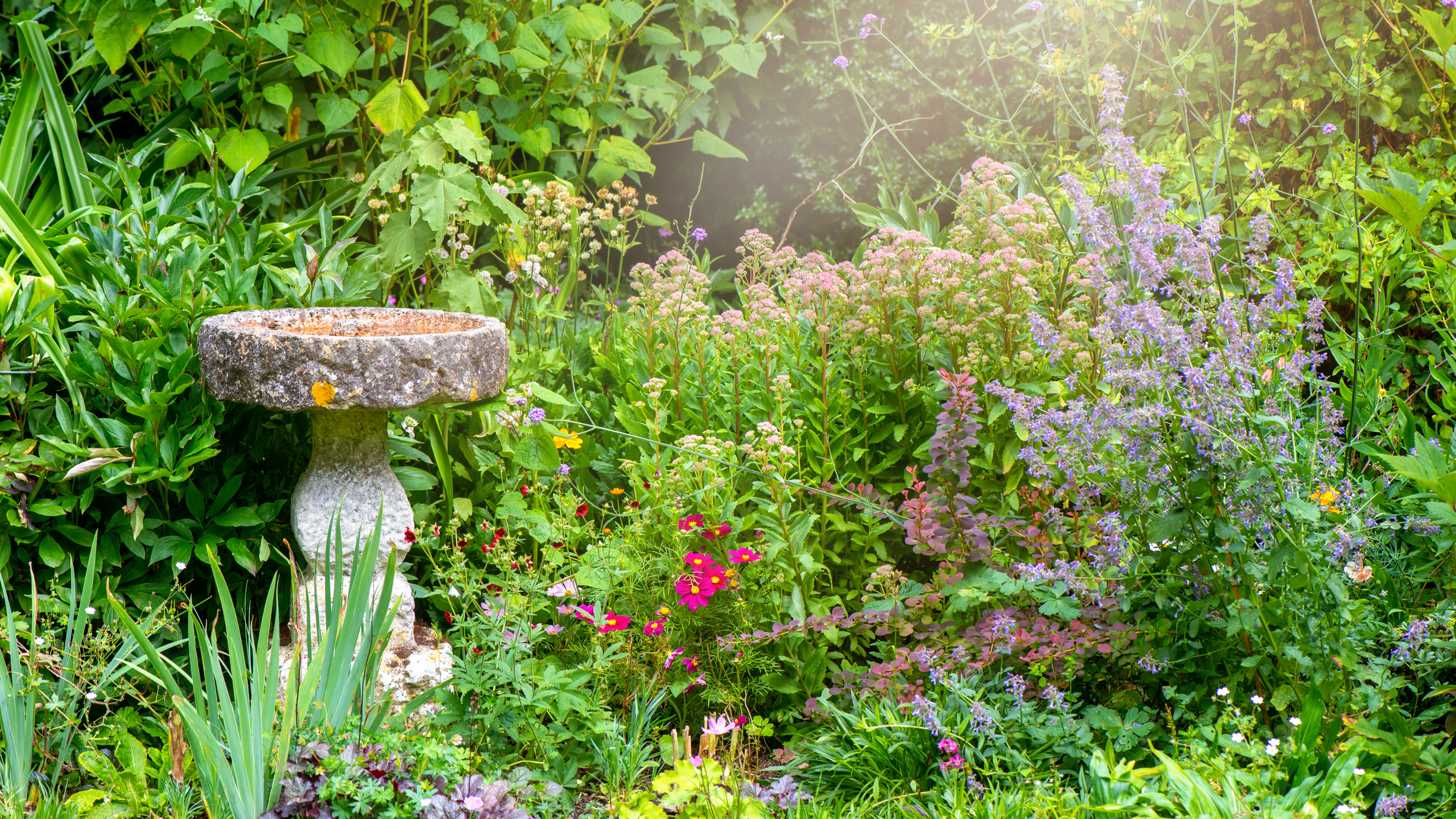 Stone bird bath in a traditonal english garden.
