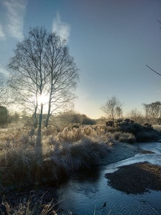 Frosty Britain - Juliette Newton