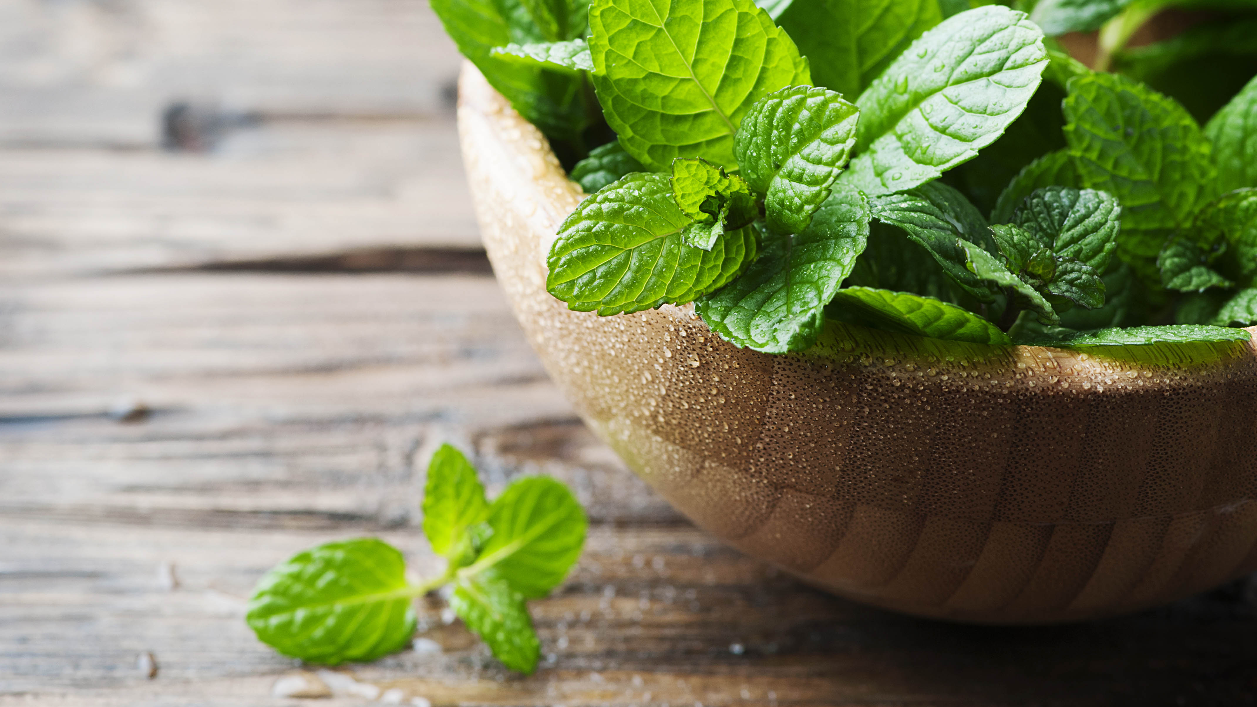 Wooden bowl filled with mint leaves