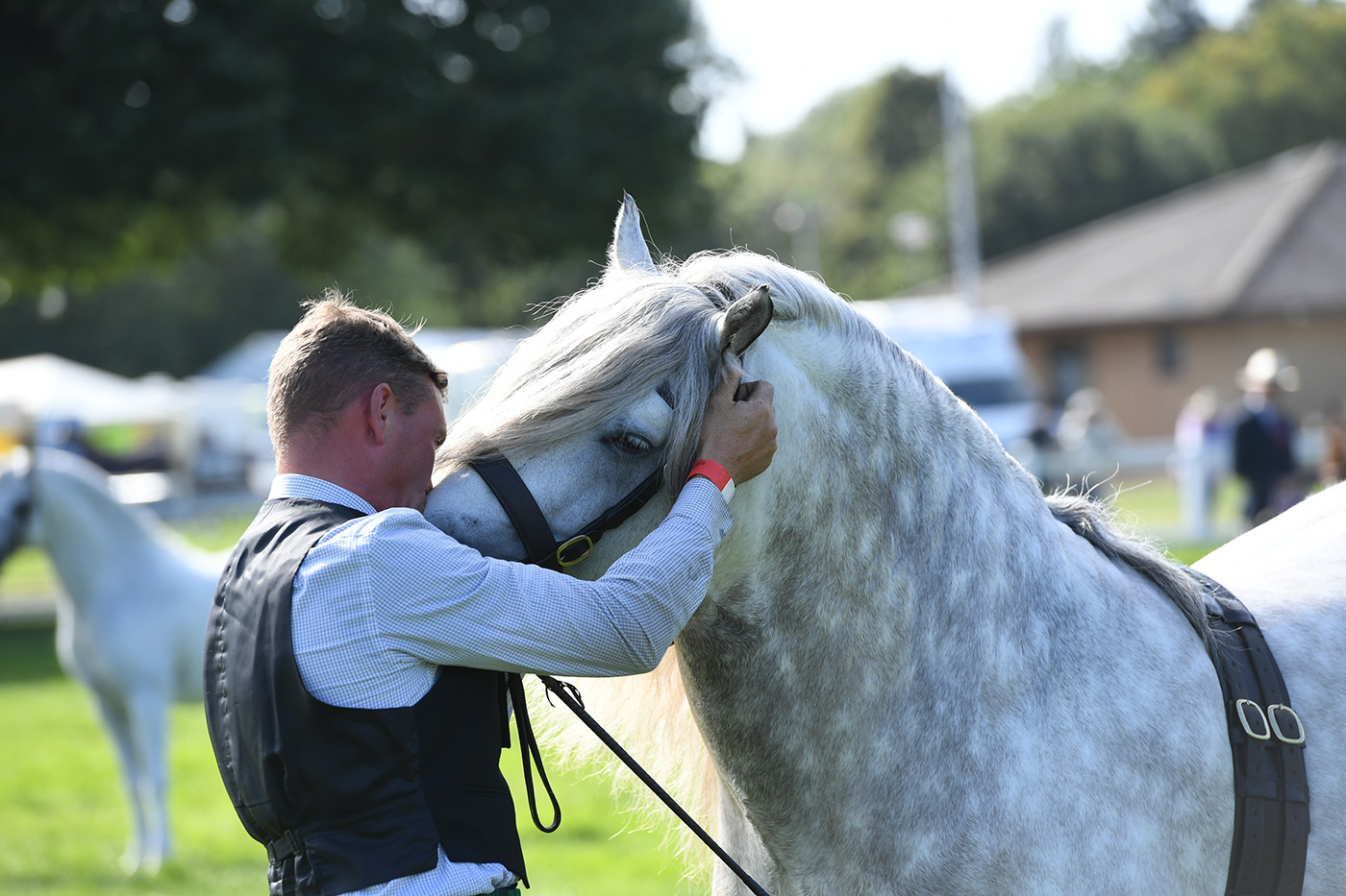 Royal Norfolk Show 27 06 19