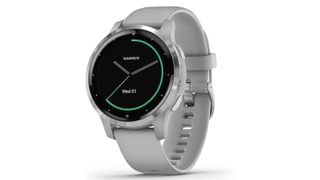 best pulse oximeter - Garmin Vivoactive 4 smart watch