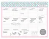 Peachly Desktop Weekly Planner Notepad