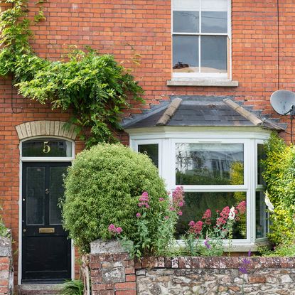 brick wall with plant and shrubs with glass window