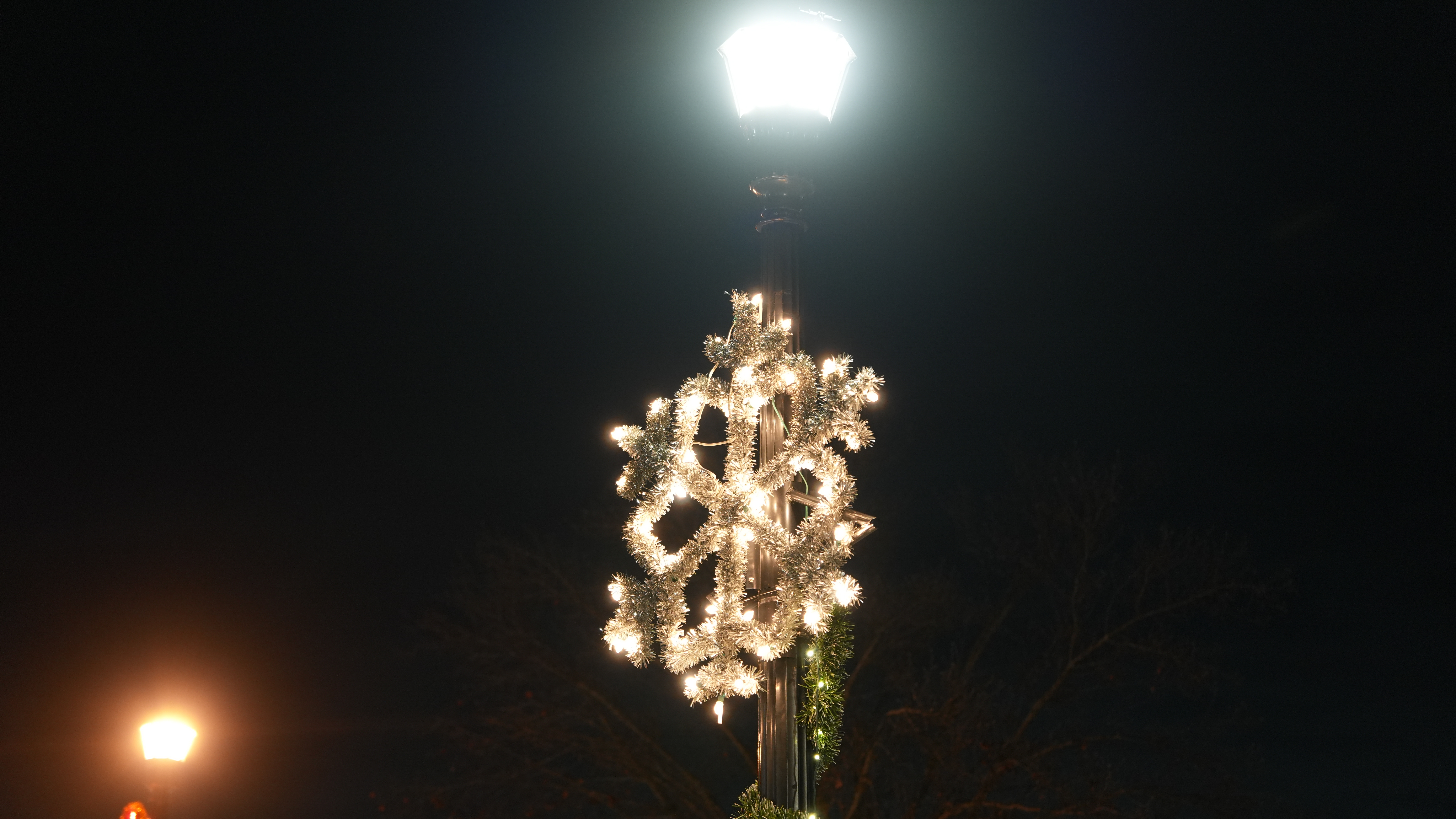 A photo taken with the Sony A7 V