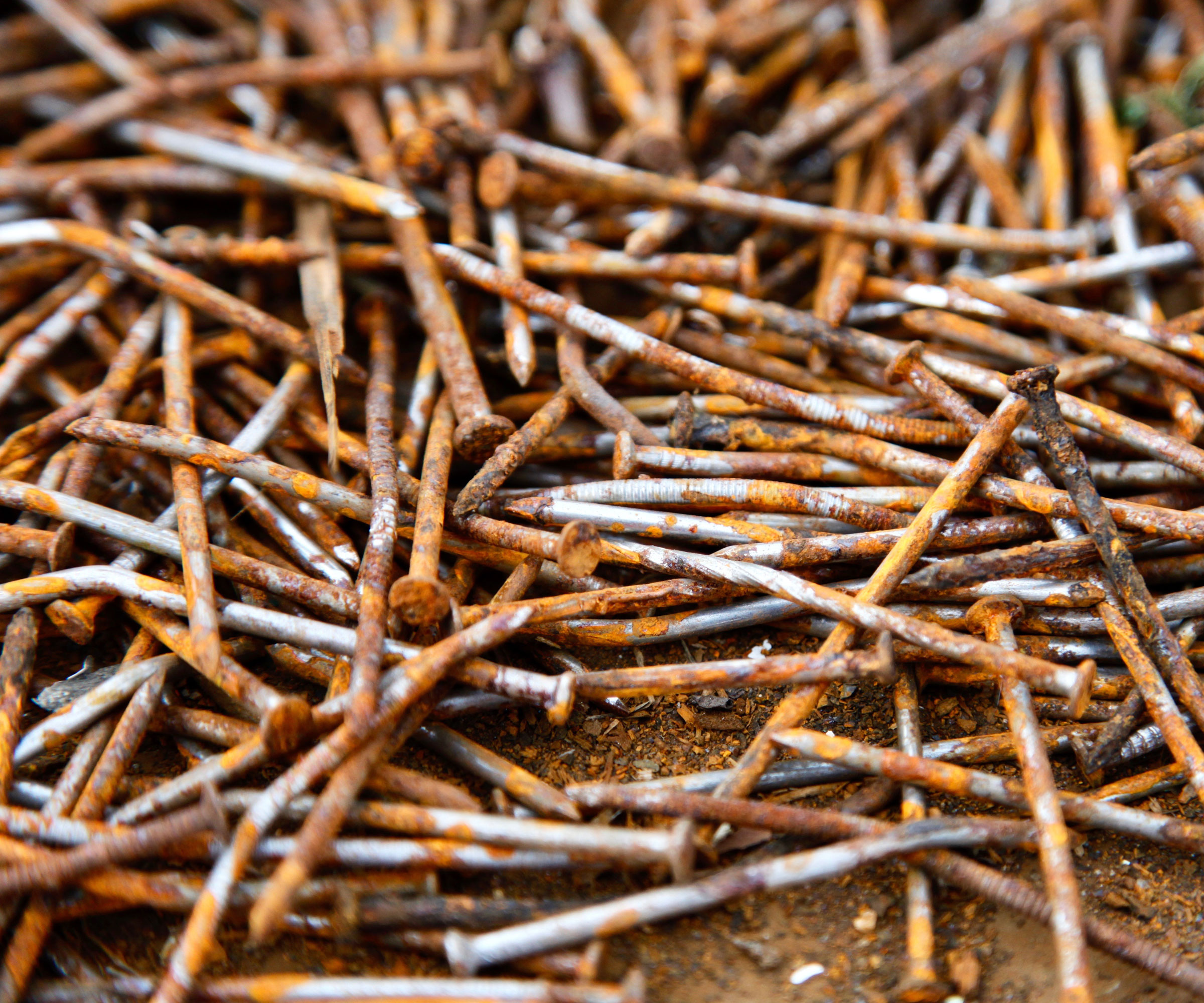 grouping of slender rusty nails showing bright orange rust