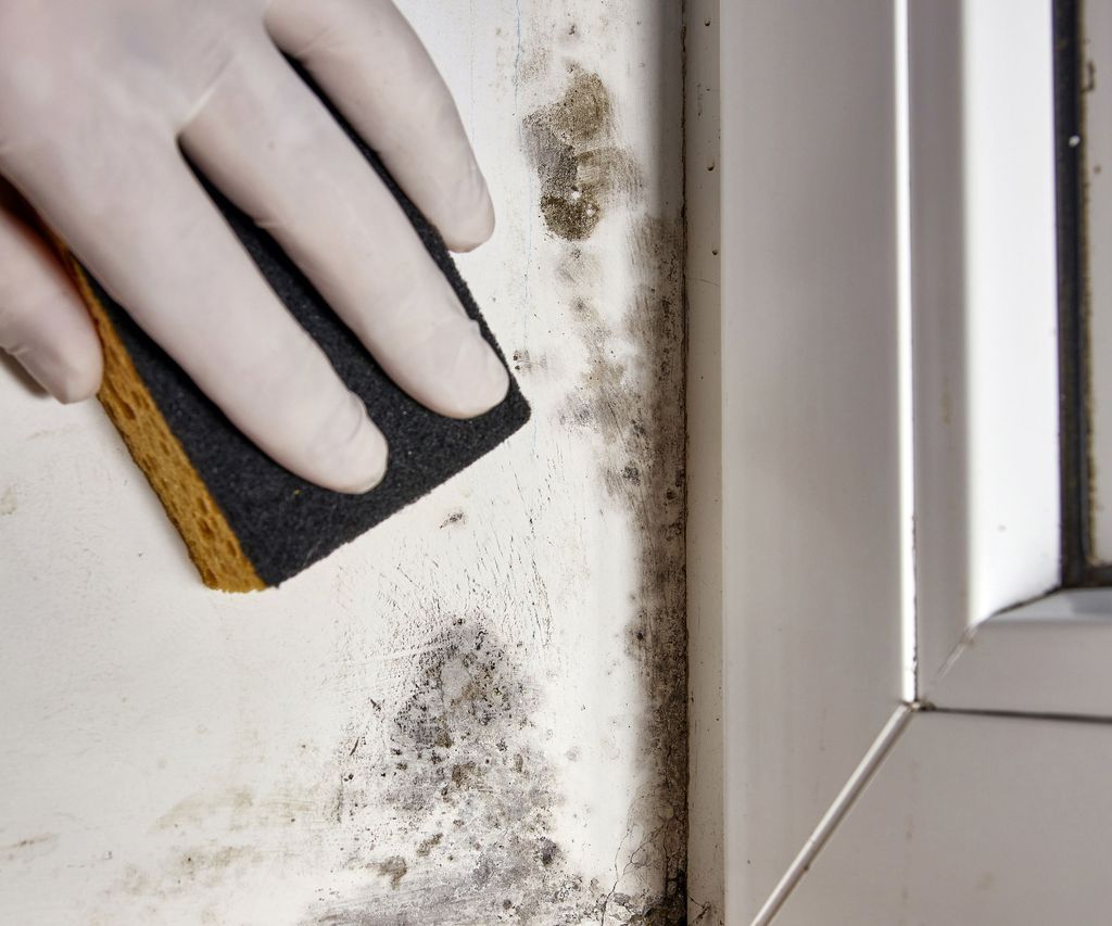 How to clean mold and mildew around windows Homes & Gardens