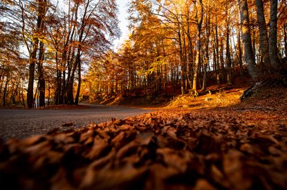Autumn in Italy