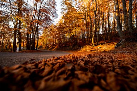 Autumn in Italy