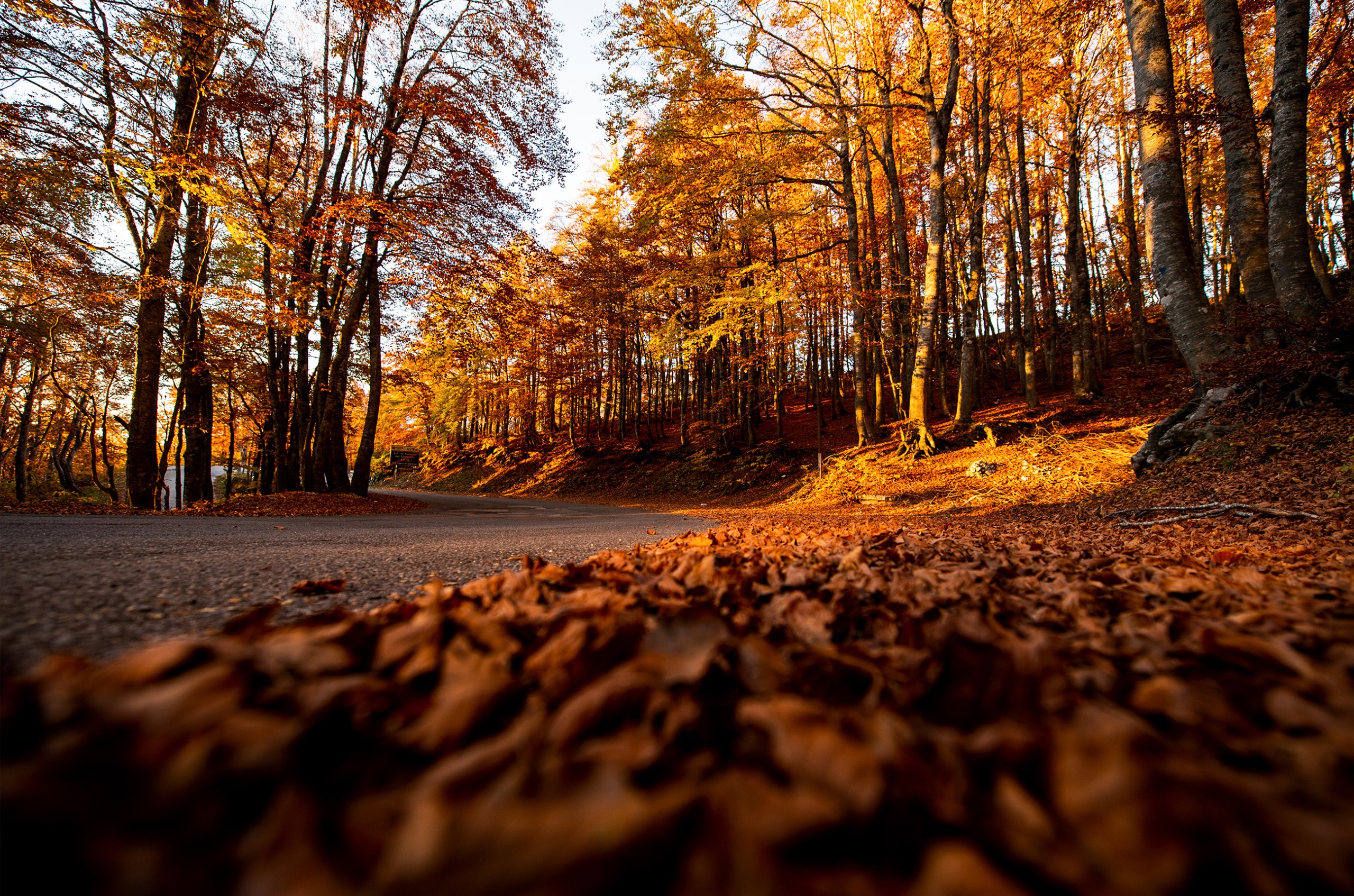 Autumn in Italy