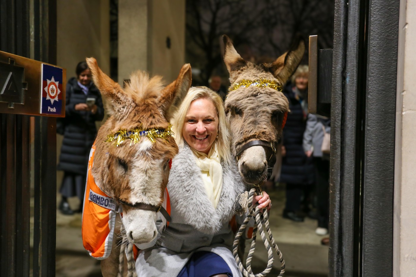 gemma-stevens-donkeys.jpg