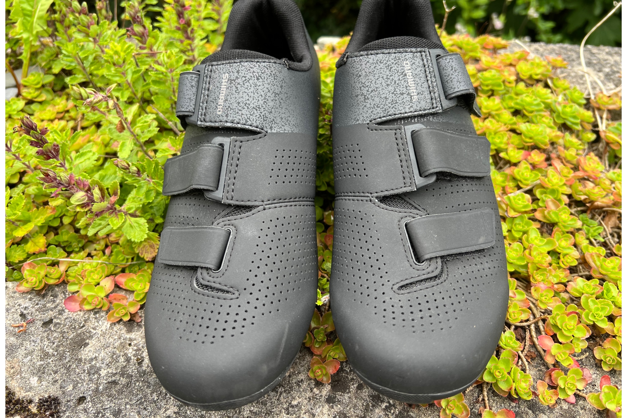 A pair of black Shimano SH-RC102 road cycling shoes from above on a wall with greenary