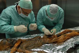 Dr. Eduard Egarter-Vigl (left) and Dr. Albert Zink (right) taking a sample from the Iceman in November 2010. 