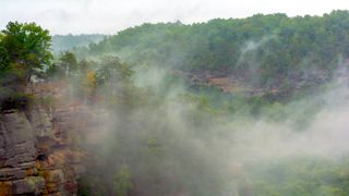 Scenic detail from Red River Gorge in the Daniel Boone National Forest