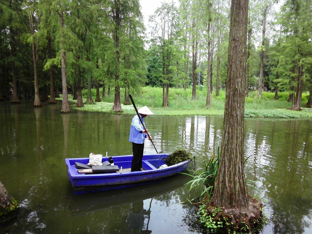 Fujifilm Instax Pal 2 sample gallery: man in boat in China, he's cleaning the lake