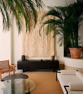 Interior view of the showroom with palm trees and modernist furniture