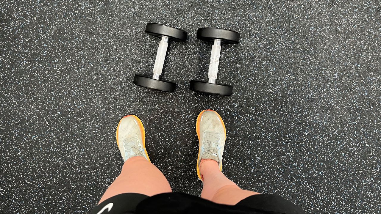 Dumbbells in a gym