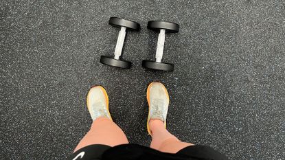 Dumbbells in a gym