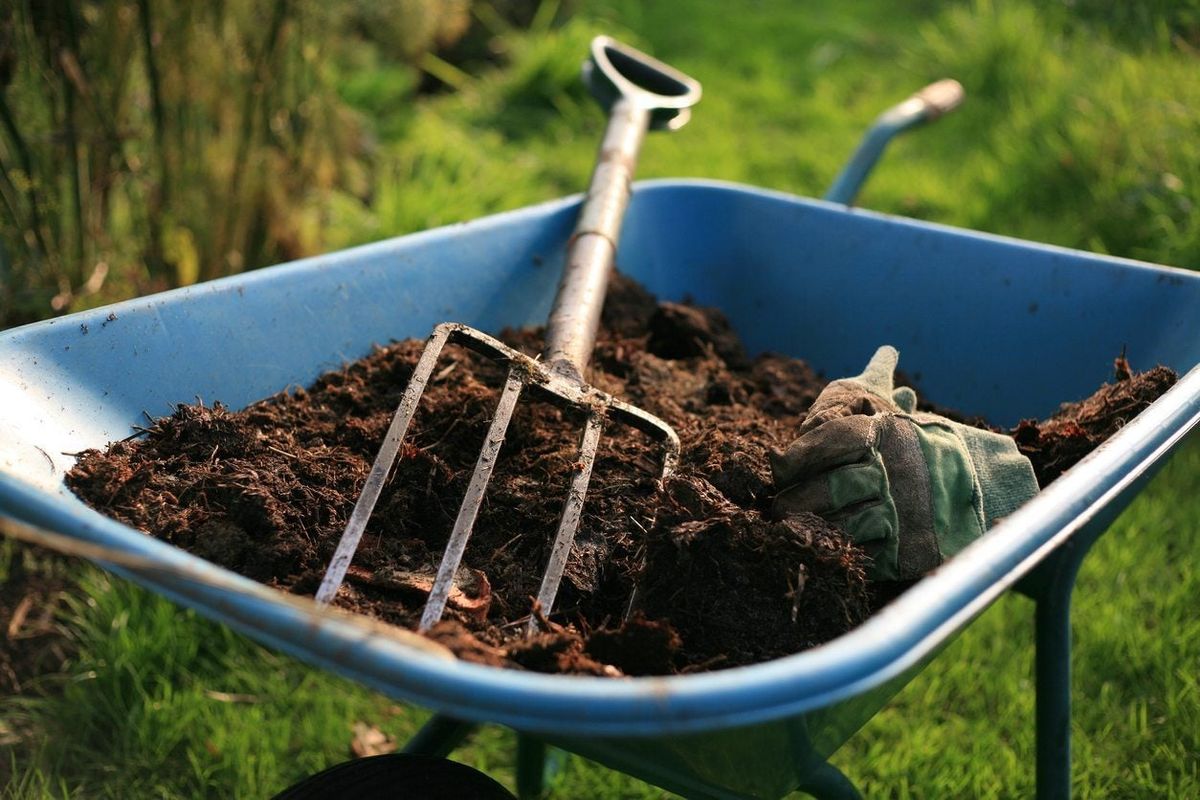 What's In Soil Conditioner How To Use Soil Conditioner In Gardens