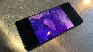 Switching to the f/3.4 zoom lens, you can see the difference in quality