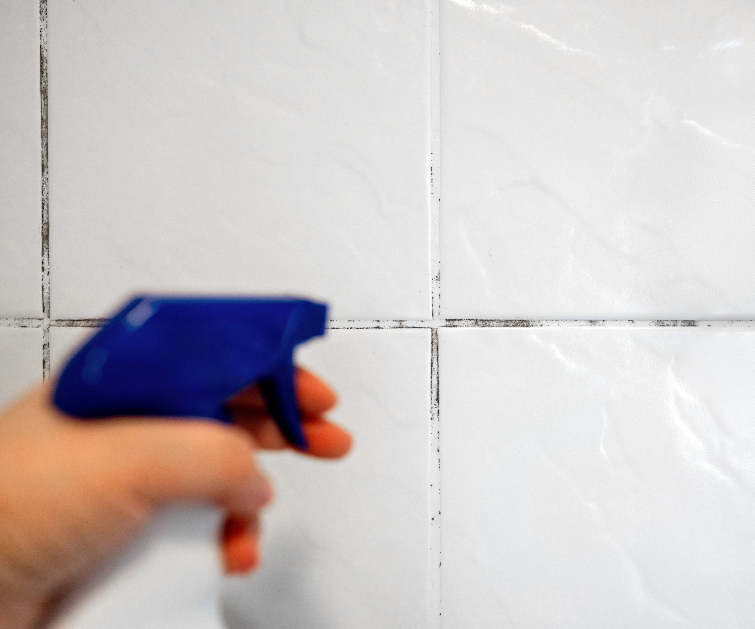 Hand holding a spray bottle towards a mouldy tile