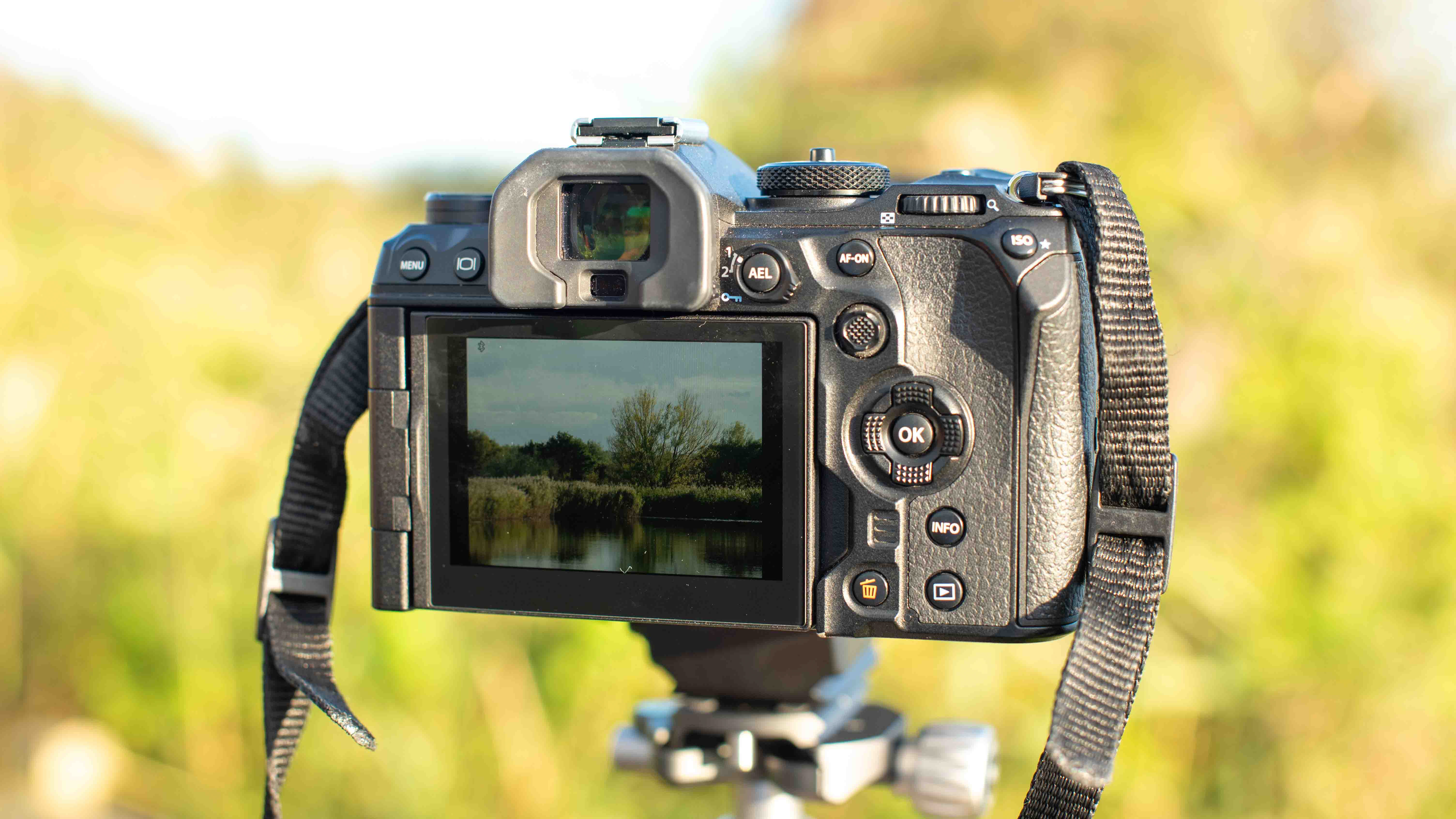 OM-1 Mark II on a tripod