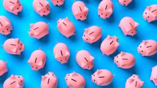 pink piggy banks on a blue background