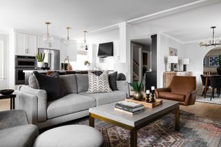 A transitional style living room with grey sofa and neutral rug