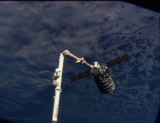 The first Orbital Sciences Corp. Cygnus spacecraft is captured by the International Space Station's robotic arm on Sept. 29, 2013 during a major test flight of the unmanned commercial space cargo ship.