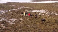 The remains of the walls or ramparts are now covered in seaweed and can only be clearly seen when the seaweed is removed.