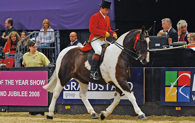 So-Smart-HOYS-2008.jpg