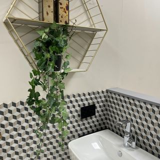 small bathroom with geometric black and grey tiles and a plant hanging from a shelf
