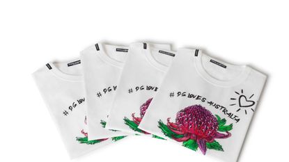 Plant, Font, Flower, Bag, Protea, Fashion accessory, Wildflower, Games, 