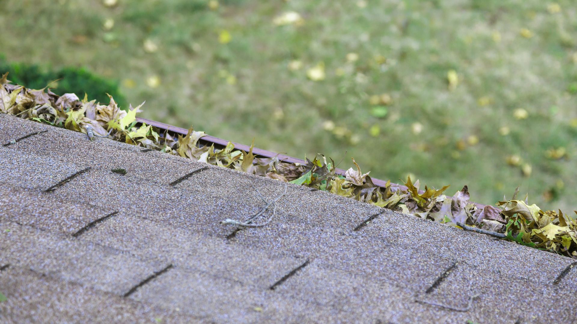 picture of gutter filled with fallen leaves