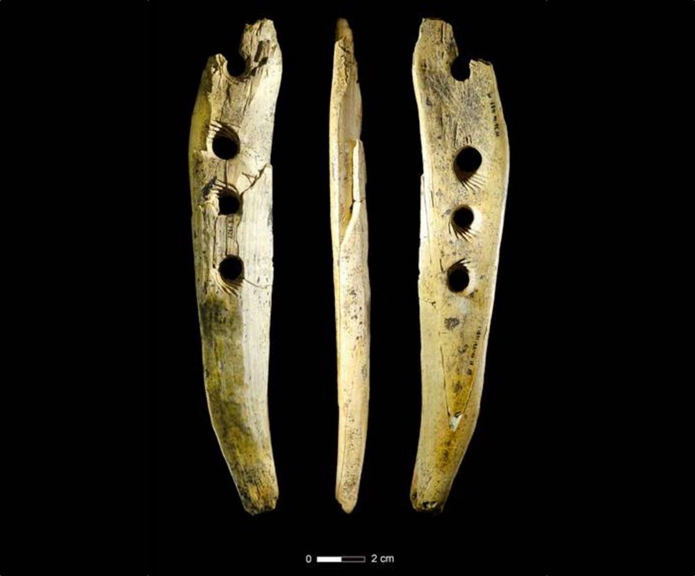 Scientists discovered this rope-making tool, crafted from mammoth ivory, in Hohle Fels Cave in southwestern Germany.