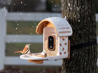 Vinguys Smart Feeder against a festive background