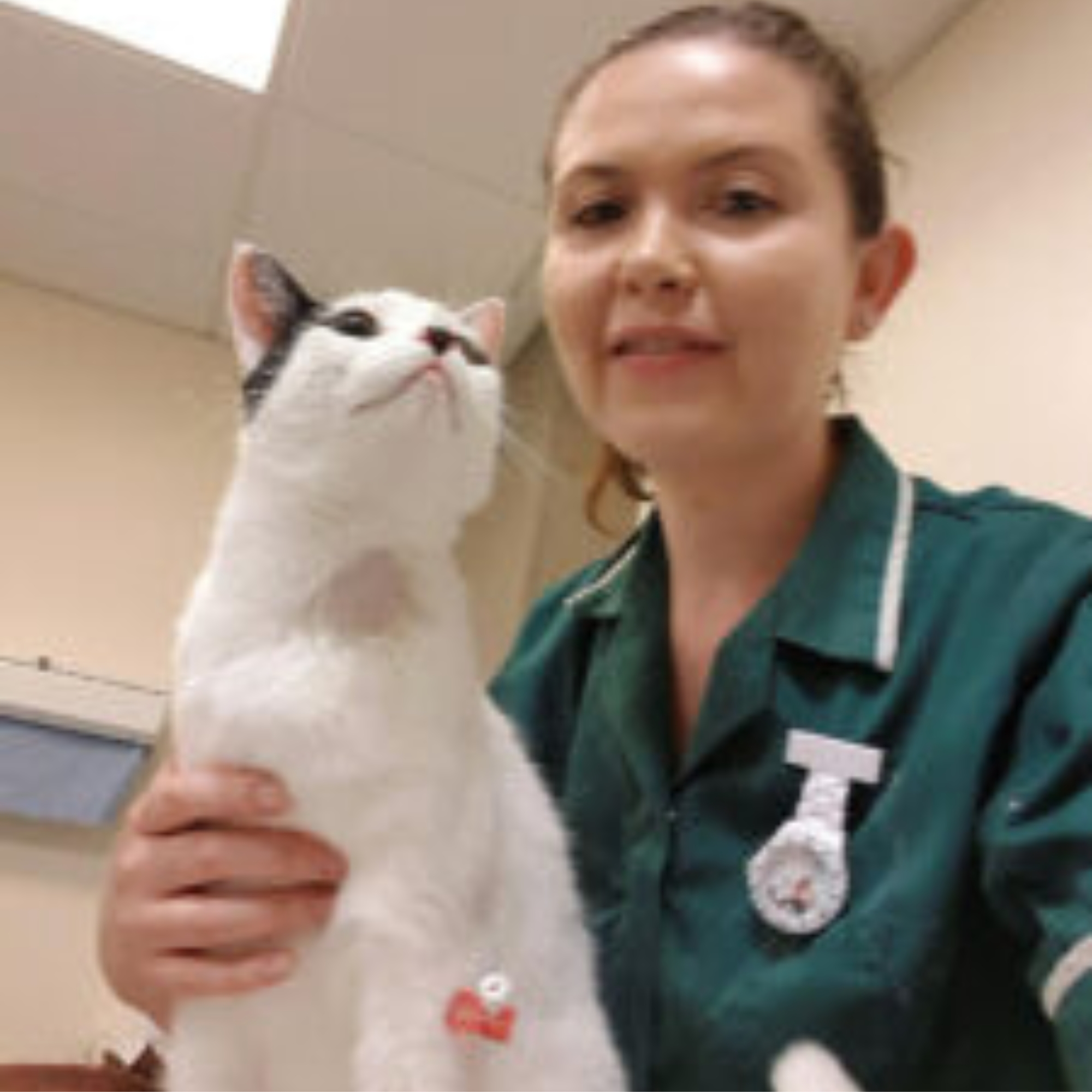 Lucie Wilkins, registered nurse with cat Sushi
