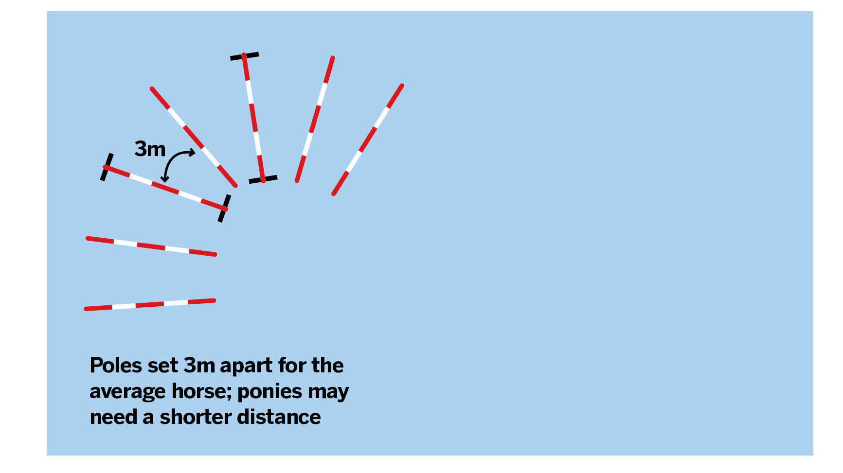 Diagram of event rider Vittoria Panizzon's polework exercise to improve suppleness