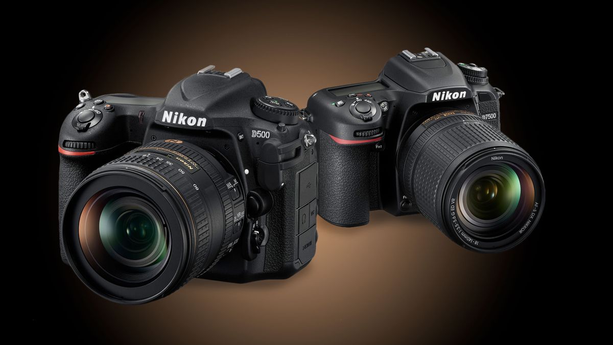 Nikon D500 vs D7500 | Digital Camera