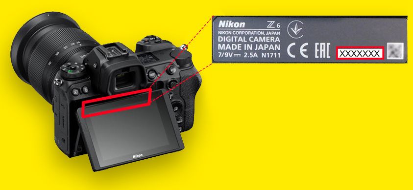 Technical issues with Nikon Z6 and Z7 stabilization – Nikon offers free repairs