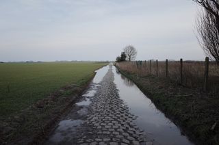 Carrefour de l'Arbre