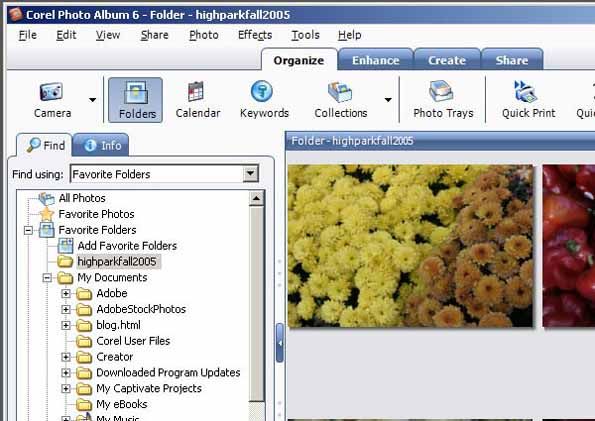 In this Corel Photo Album image you can see how the photos can be organized into different folders.