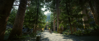 A dense evergreen forest from Skyrim mod Fabled Forests by Kojilama